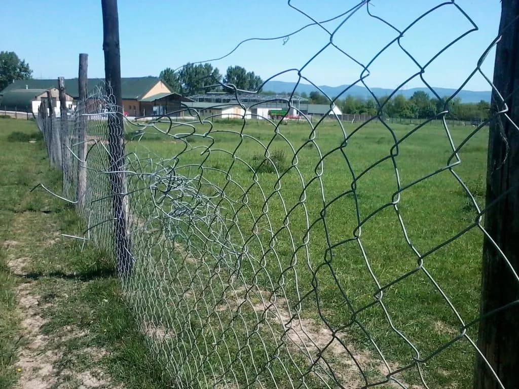 Ogrodzenie z siatki leśnej - jak ustawić słupki, by uniknąć problemów