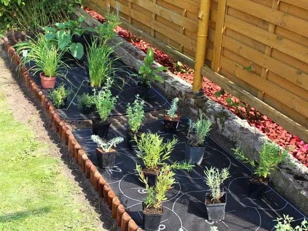 Czym ogrodzić rabaty kwiatowe? Najlepsze materiały i porady na start