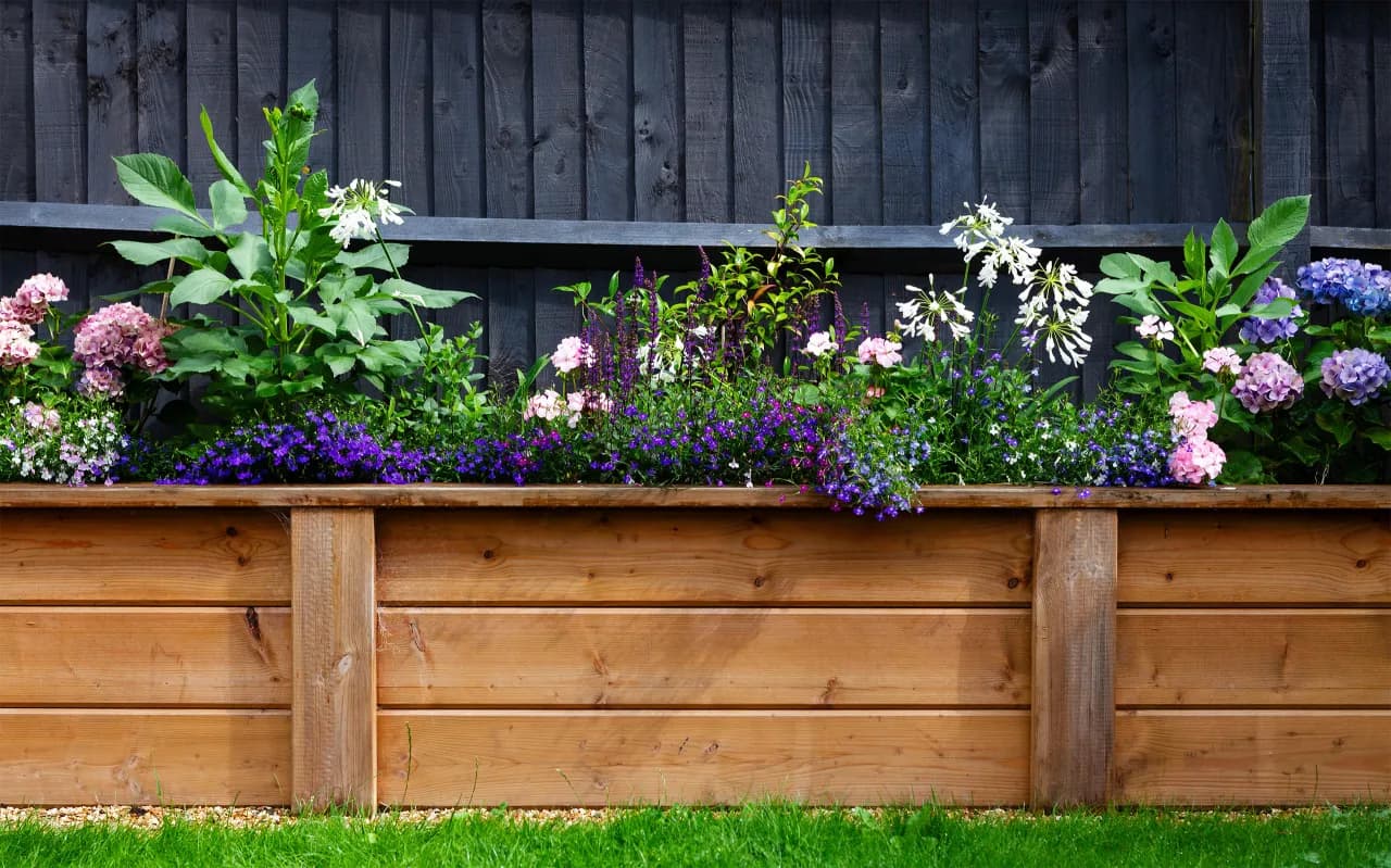 Jakie kwiaty posadzić przy płocie, aby stworzyć piękny ogród?